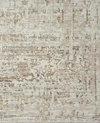 Lr Home Bienne BIENA284 4' x 6' Area Rug