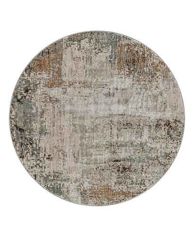 Livabliss Brunswick Bwk- 7'10" x 7'10" Round Area Rug