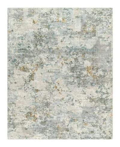 Livabliss Dresden Dre 2302 Area Rug