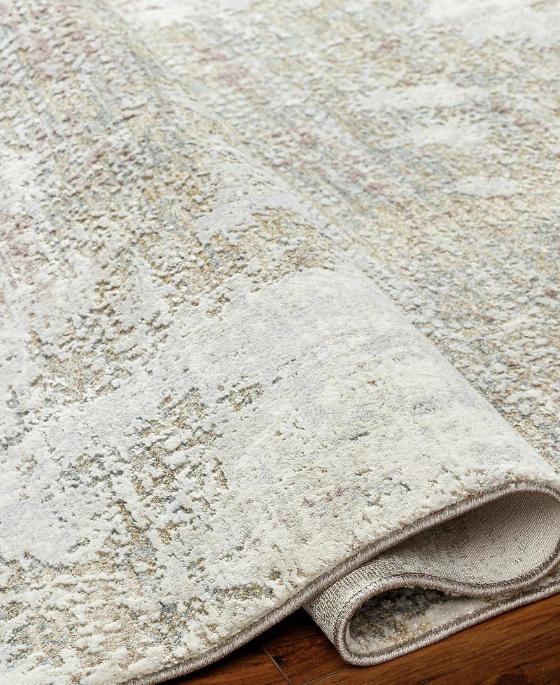 Livabliss Brunswick Bwk-2333 2'7" x 4' Area Rug