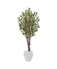 Nearly Natural 5' Olive Artificial Tree in White Oval Planter