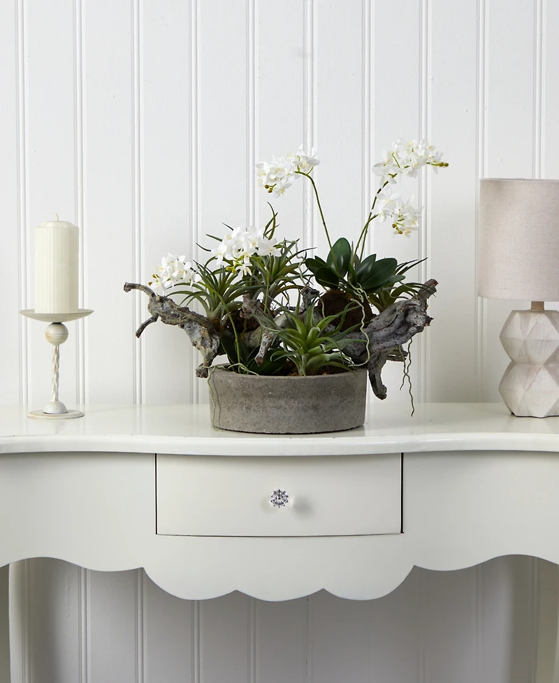 Nearly Natural Orchid and Succulent Garden w/ Driftwood and Decorative Vase