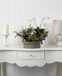 Nearly Natural Orchid and Succulent Garden w/ Driftwood and Decorative Vase