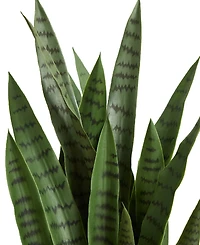 Nearly Natural 38-In. Sansevieria Artificial Plant