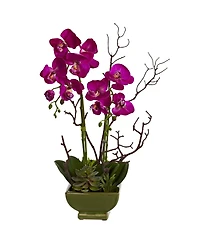 Nearly Natural Orchid and Succulent Floral Arrangement