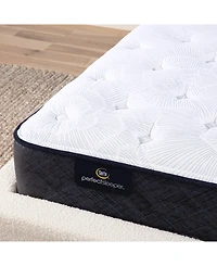 Serta Perfect Sleeper Adoring Night 10.5" Plush Mattress Set