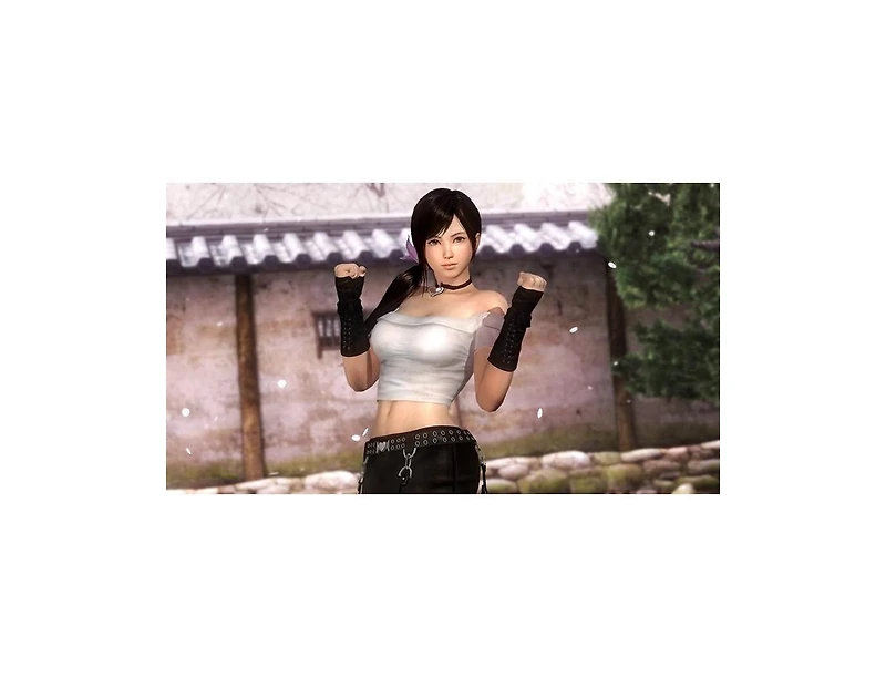 Dead or Alive 5 Ultimate