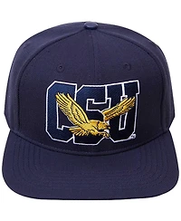Men's Pro Standard Navy Coppin State Eagles Evergreen Csu Snapback Hat