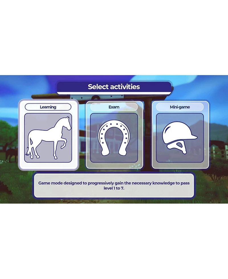 Equestrian Training