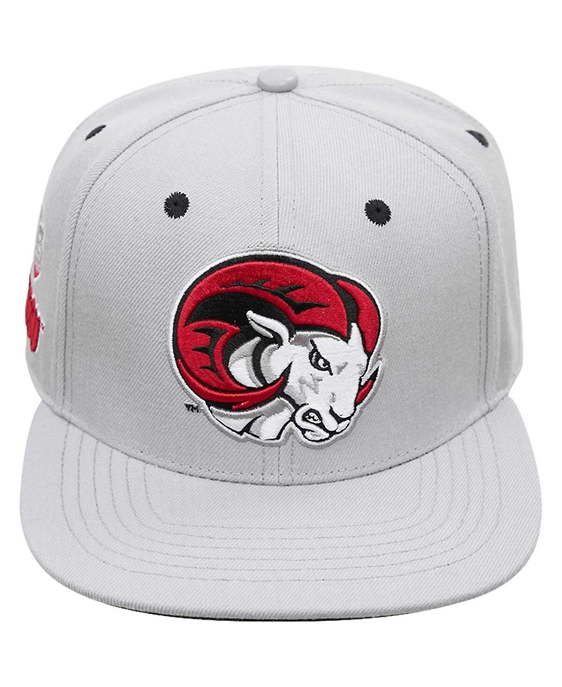 Men's Pro Standard Gray Winston Salem Rams Evergreen Mascot Snapback Hat