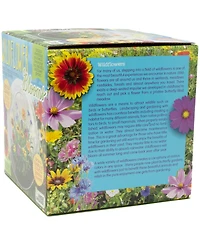 Unique Gardener Glass Terrarium Wildflower Blooms Plant Kit