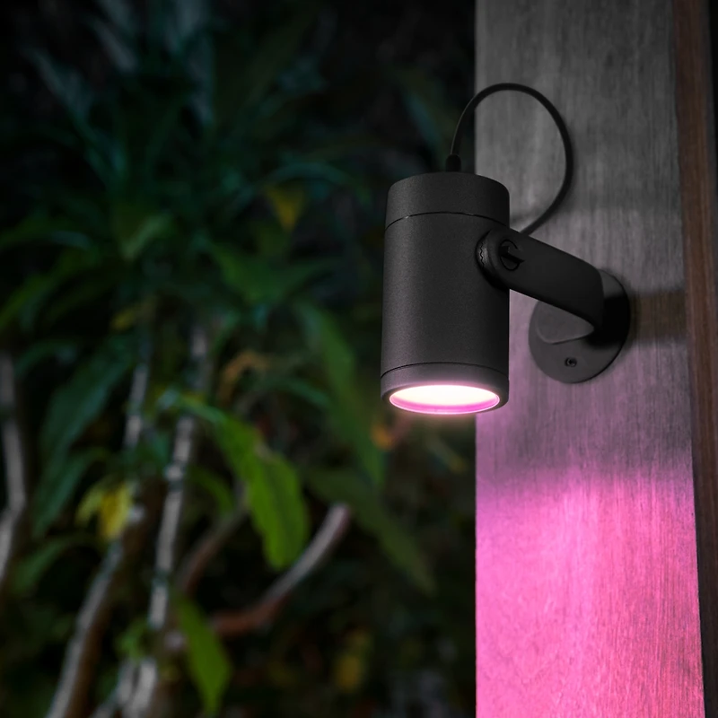 Philips Hue White and Color Ambiance Lily Outdoor Spot Light Extension Kit