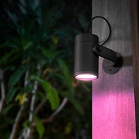 Philips Hue White and Color Ambiance Lily Outdoor Spot Light Extension Kit