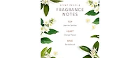Dolly Parton - Eau de Toilette - Early Morning Breeze