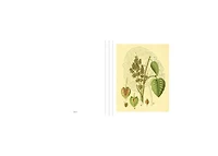 Instant Wall Art Vibrant Botanical Prints- 45 Ready-to-Frame Illustrations for Your Home Decor by Adams Media Corporation
