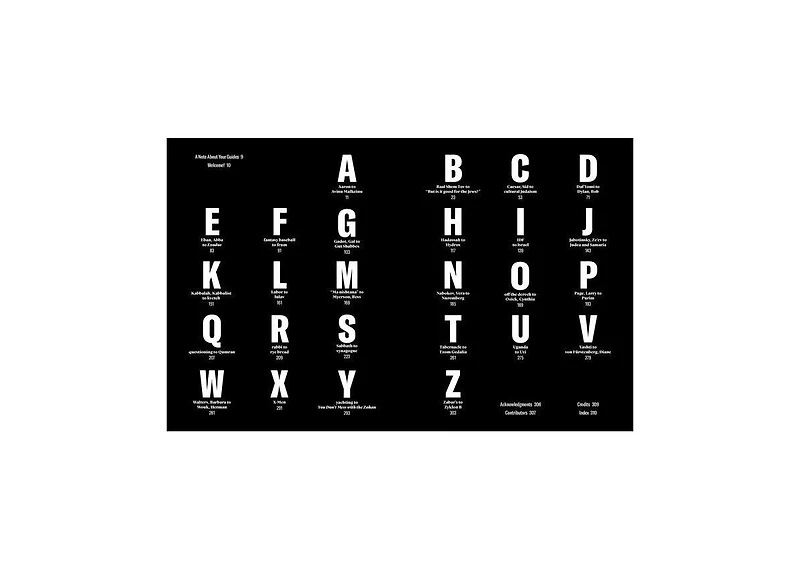 The Newish Jewish Encyclopedia- From Abraham to Zabar's and Everything in Between by Stephanie Butnick