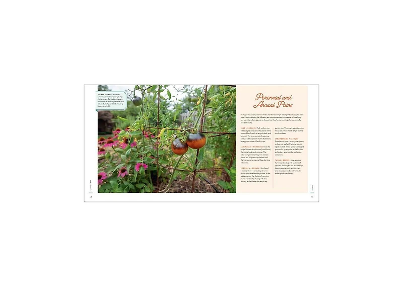 The Creative Vegetable Gardener- 60 Ways to Cultivate Joy, Playfulness, and Beauty along with a Bounty of Food by Kelly Smith Trimble