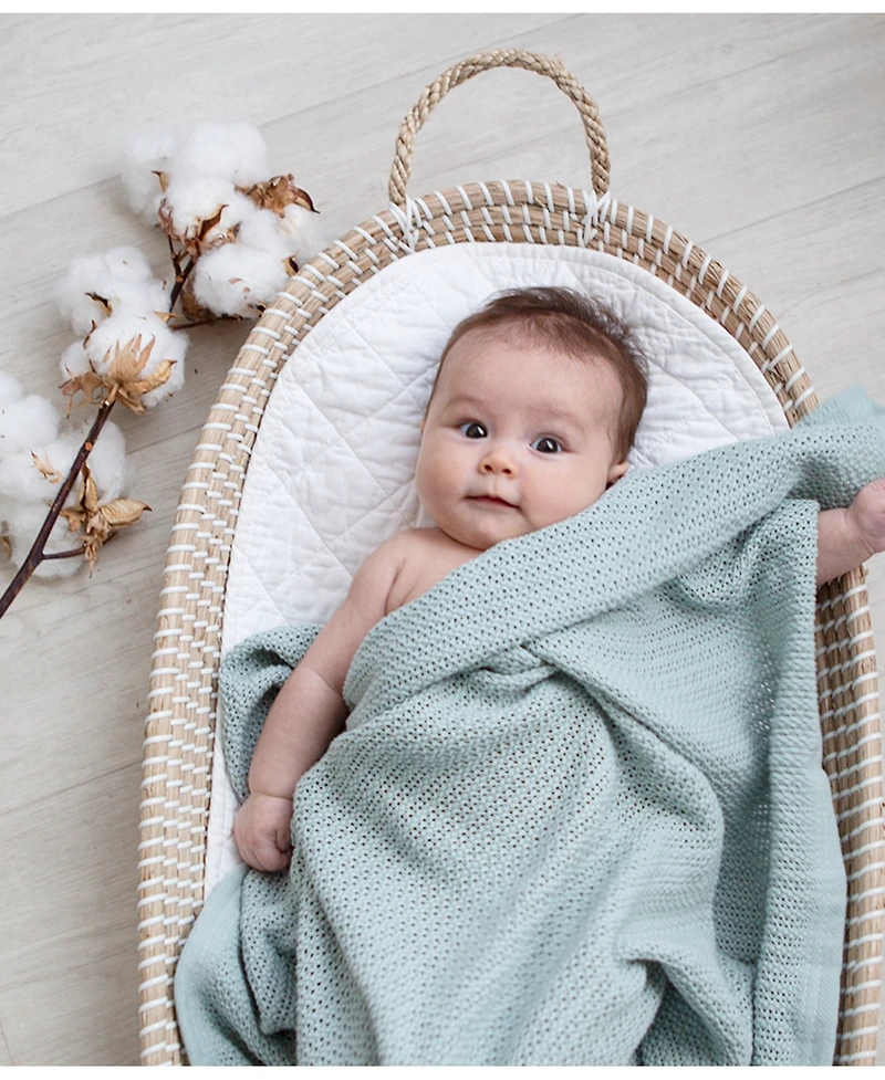 Living Textiles Baby Boys or Baby Girls Cotton Cellular Blanket