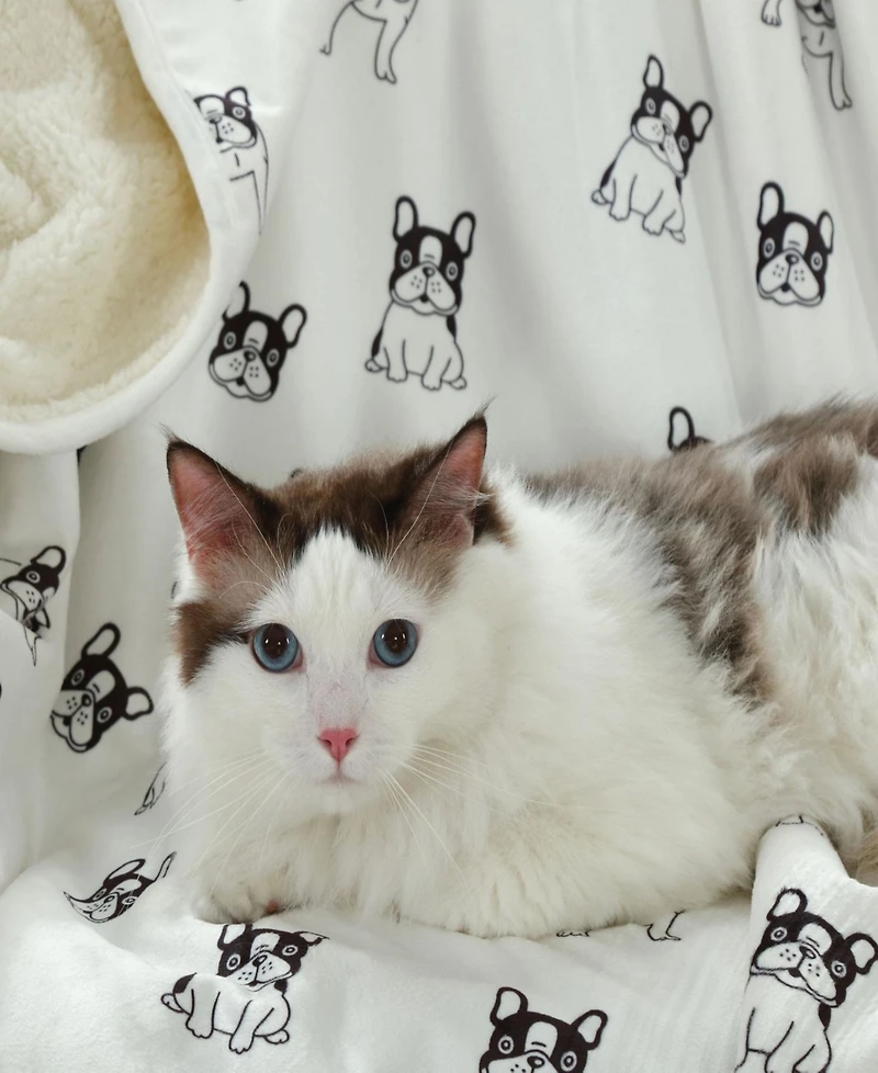 Happycare Textiles Advanced Water Resistant Pets Print Comfort Throw