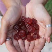 Elderberry Gummies for Adults, Immune System Supplement, Elderberry Flavor, Havasu Nutrition