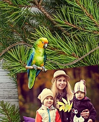Designocracy Holiday Wooden Clip-On Ornaments Parrots Set of 6 G. DeBrekht