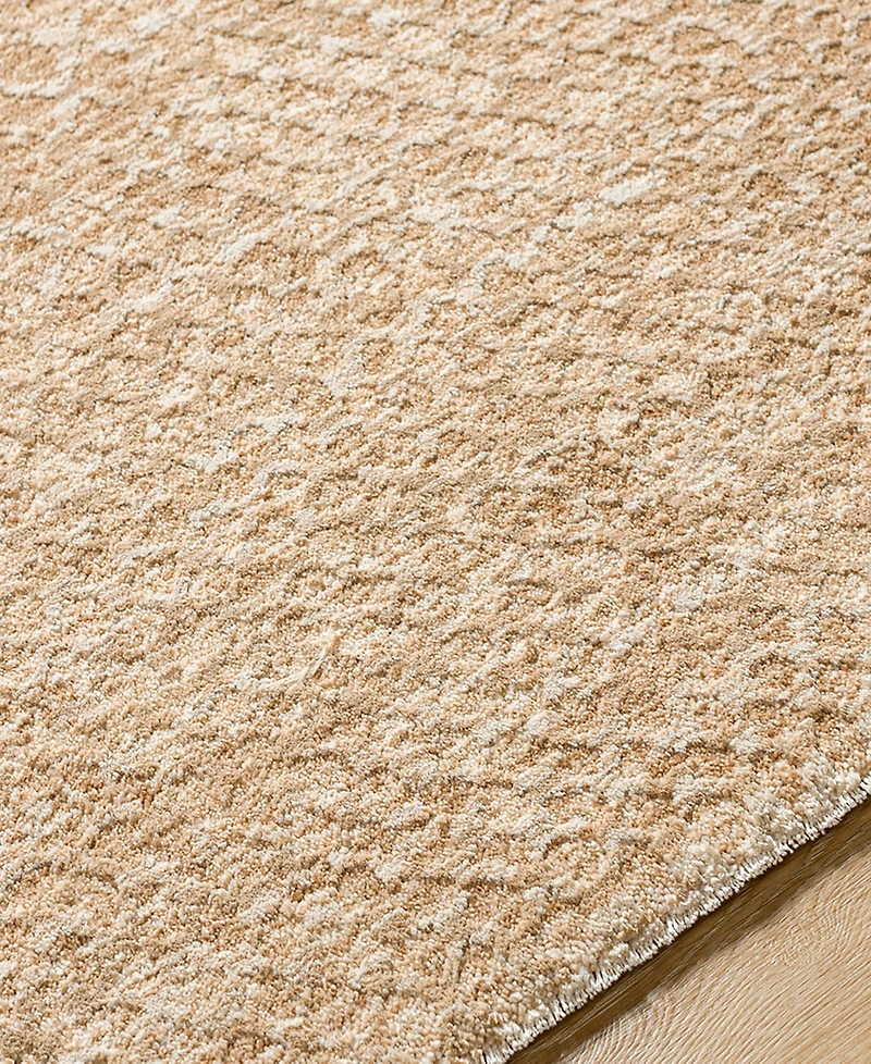 Livabliss Masterpiece High-Low Mpc-2302 2'8" x 3'11" Area Rug