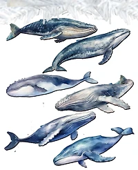 Designocracy Holiday Wooden Clip-On Ornaments Humpback Whales Set of 6 G. DeBrekht
