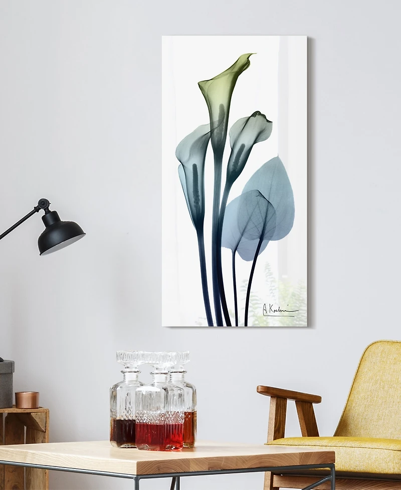 Empire Art Direct "CaLIa LIly" Frameless Free Floating Tempered Glass Panel Graphic Wall Art, 48" x 24" x 0.2"