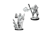 Dungeons and Dragons Male Firbolg Druid Nolzur's Miniatures