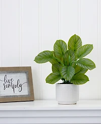 Nearly Natural 12" Artificial Calathea Plant with Decorative Planter