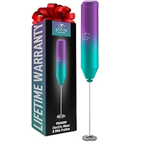 Powerful Handheld Mini FrothMate Milk Frother Stainless Steel