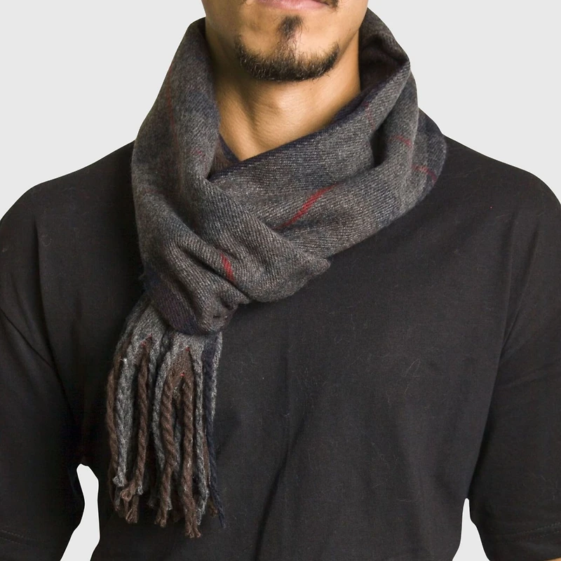 Alpine Swiss Men's Scarf Soft 80 Inch Long Warm Scarves Plaids Winter Shawl