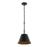 Jonathan Y Harper Industrial Farmhouse Iron Led Pendant