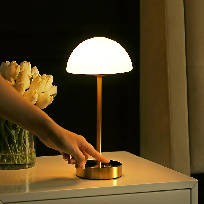 Xavier Modern Minimalist Iron Rechargeable Integrated Led Table Lamp
