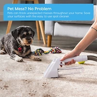 Iris Usa Portable Carpet Spot Cleaner & Pet Stain Remover 16.9oz Chemical-Free Spot Cleaner Machine, Corded Lightweight Portable Fabric Pet Stain Wash
