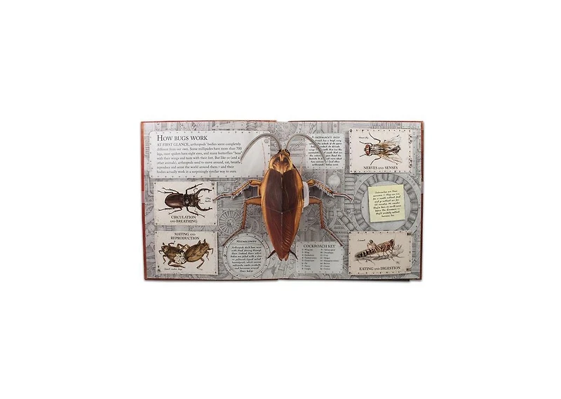 Bugs- A Stunning Pop-Up Look at Insects, Spiders, and Other Creepy-Crawlies by George McGavin