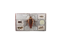 Bugs- A Stunning Pop-Up Look at Insects, Spiders, and Other Creepy-Crawlies by George McGavin