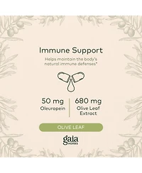 Gaia Herbs Olive Leaf - Traditional Immune Health Support - Immune System Supplement with Olive Leaf Extract and Oleuropein