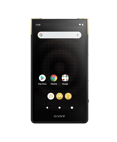 Sony Nw-ZX707 Walkman ZX Series Hi-Res Digital Music Player