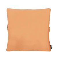 Safavieh Anaster 18" x 18" Pillow