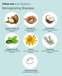 Purecode Roots Of Health Reinvigorating Shampoo, 10.14 oz.