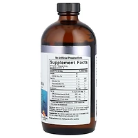 Nature's Answer Liquid Omega-3 Deep Sea Fish Oil Epa/Dha Orange - 16 fl oz (480 ml)