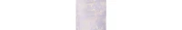 Bebe Women's Long Sleeve Lace Mini Dress