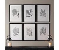 Framed Gray-Tone Fern Prints Set of 6