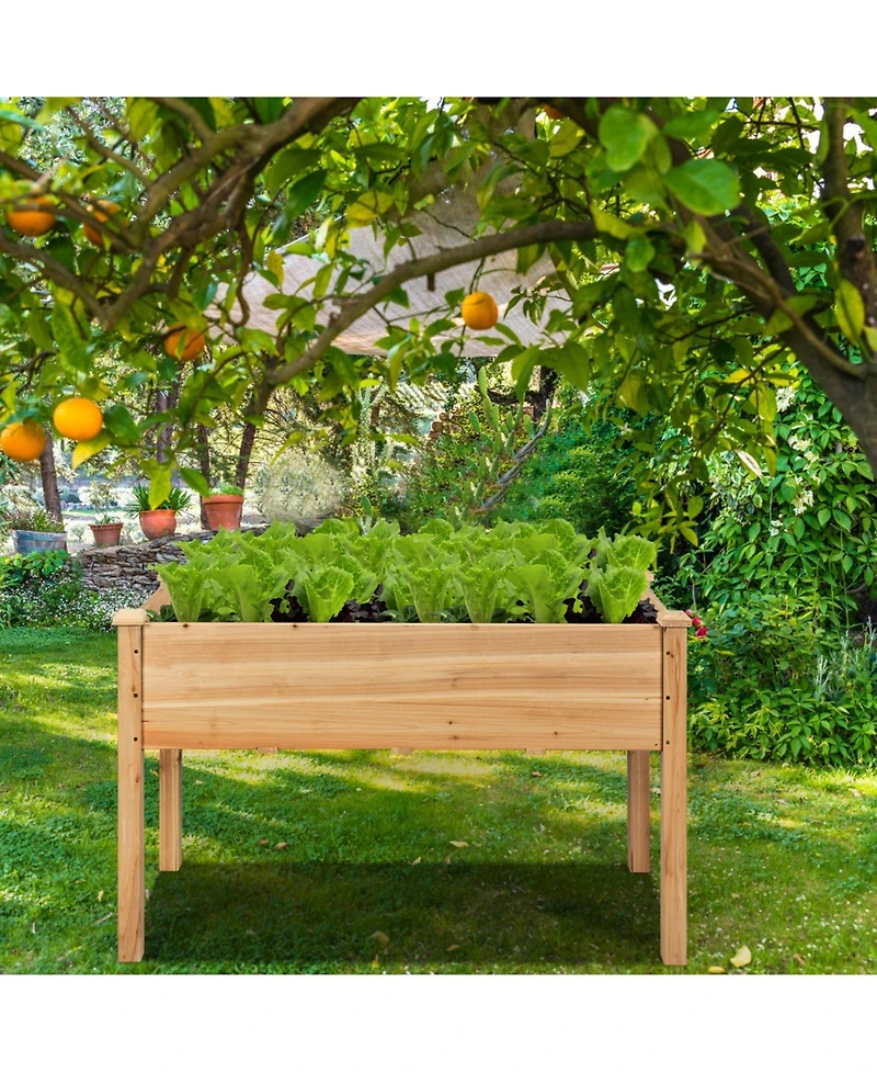 Wooden Raised Vegetable Garden Bed Elevated Grow Vegetable Planter