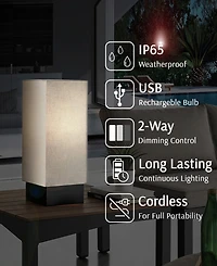Lite Source Outdoor Cordless Quinlan Table Lamp