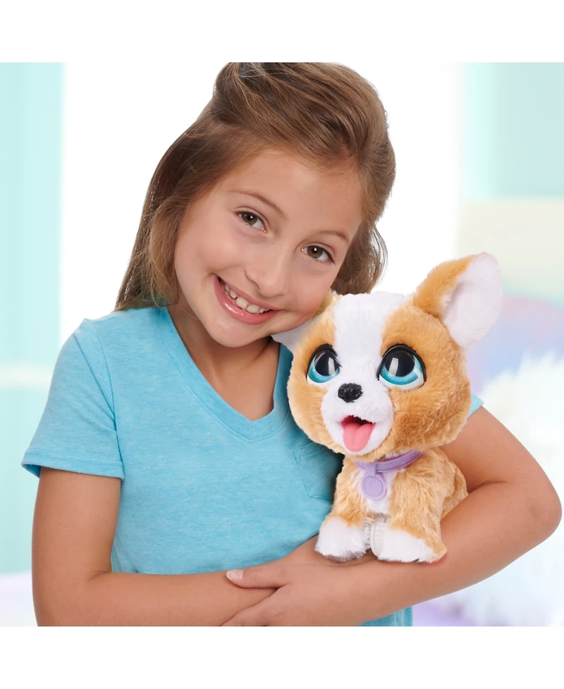 FurReal Friends Poop-a-Lots Corgi Interactive Toy, 8" Walking Plush Puppy with Sounds, 4-Pieces