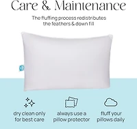 East Coast Bedding 10% Down, 90% Feather Bed Pillow King, Pack of 2