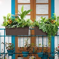 Aoodor Mahliya Planter Box (Set of 4)