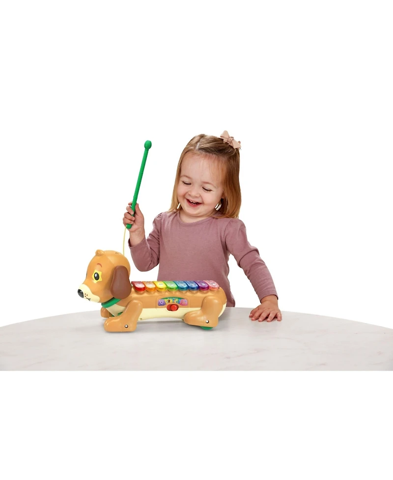 VTech Zoo Jamz Doggy Xylophone